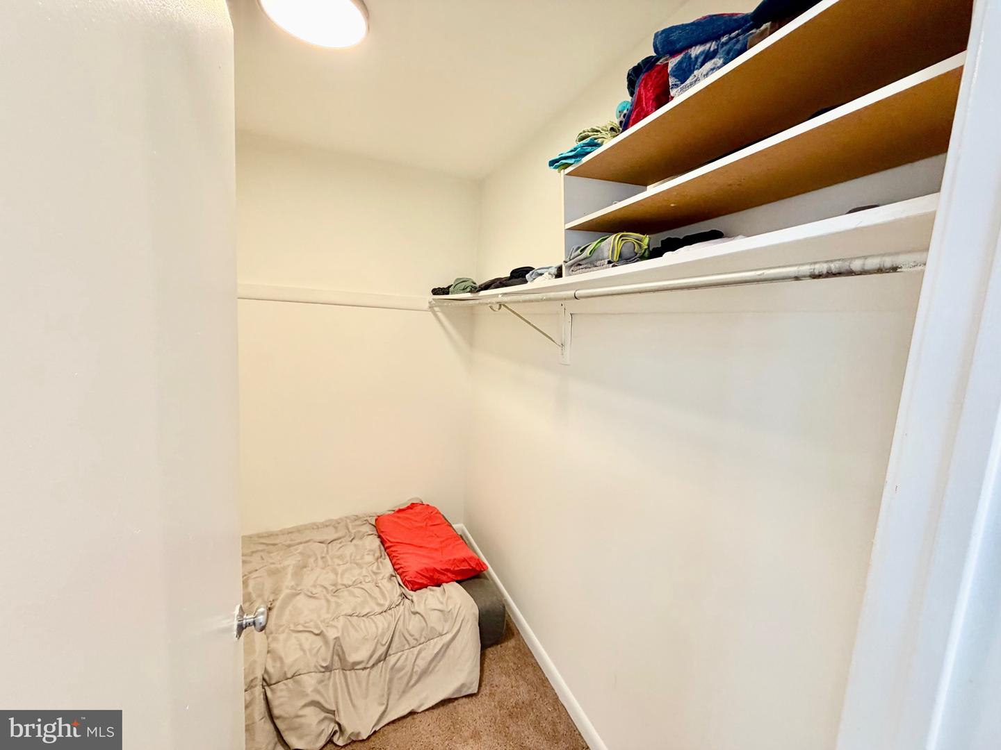 1209 Locust St #3f Property Photo 23