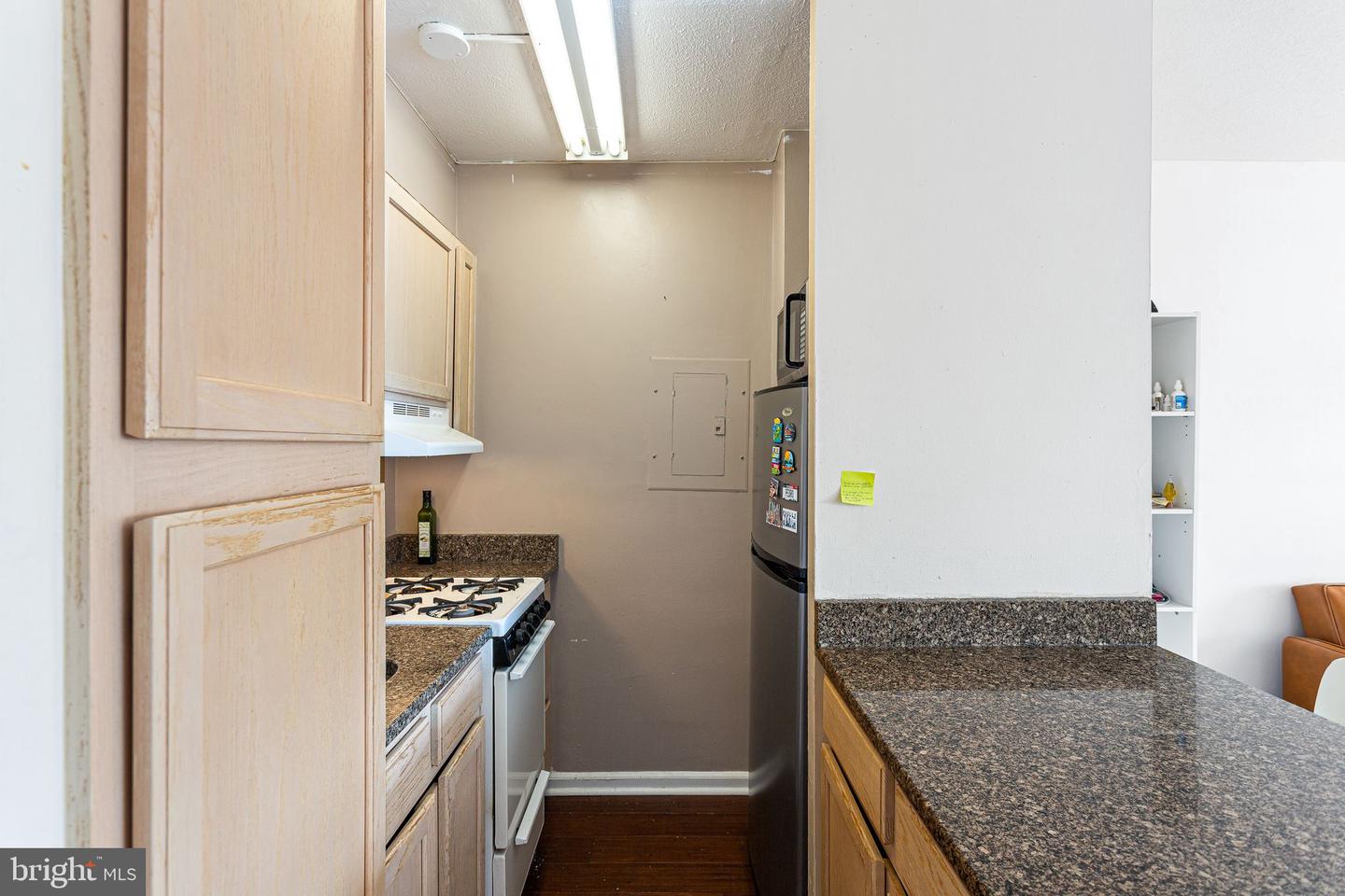 2101 Chestnut St #1012 Property Photo 6
