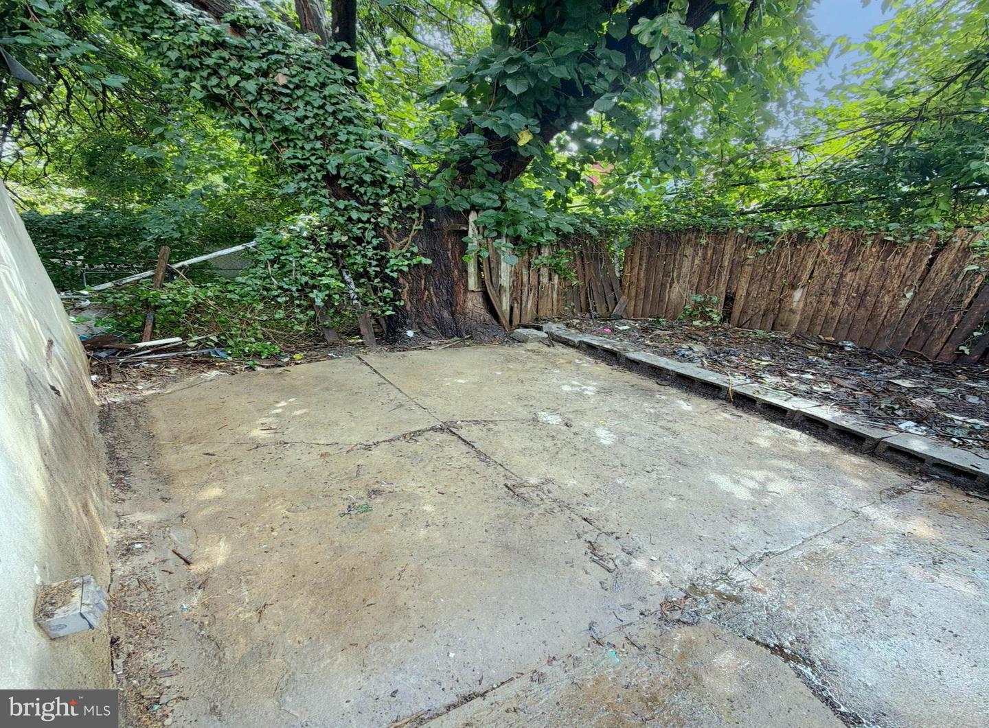 3420 Ella St Property Photo 3