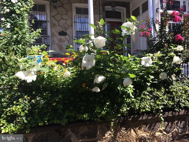 3707 Hamilton St Property Photo 5