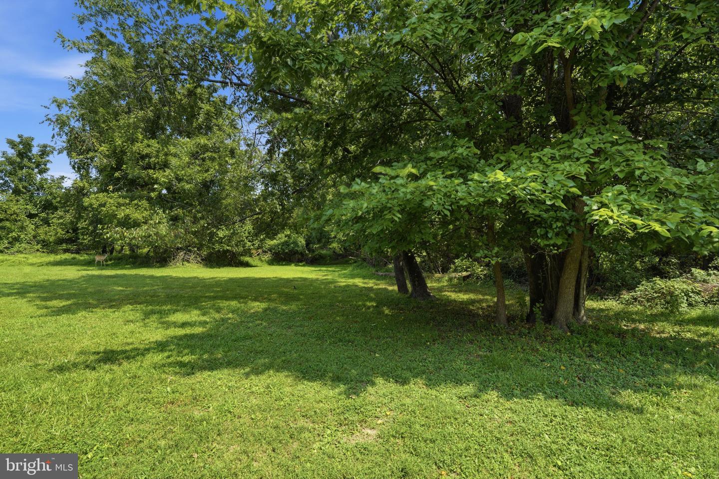 13073 Townsend Rd Property Photo 30