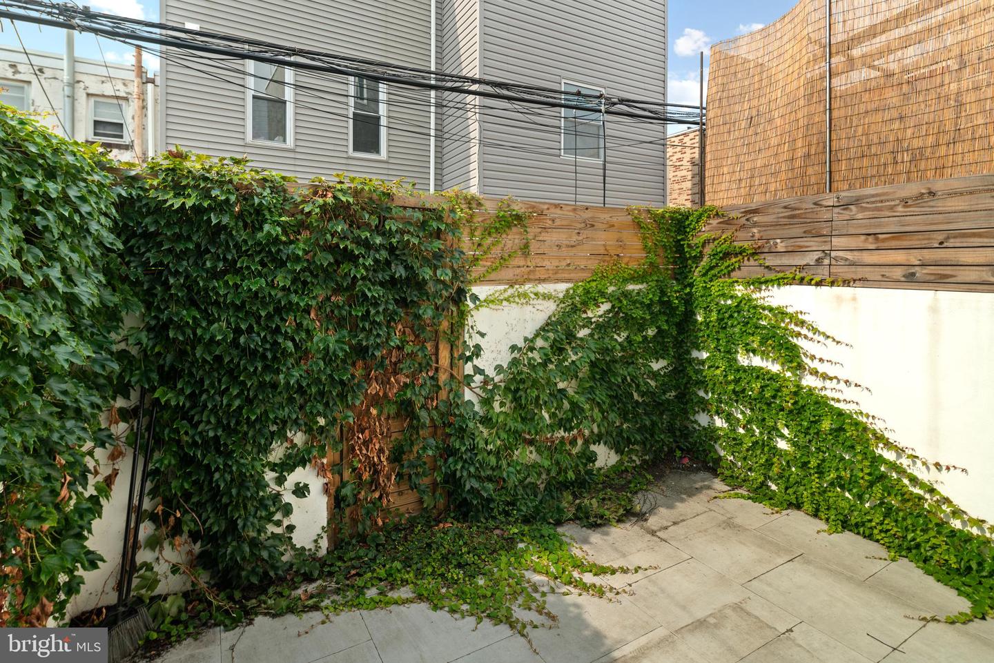246 Watkins St Property Photo 7