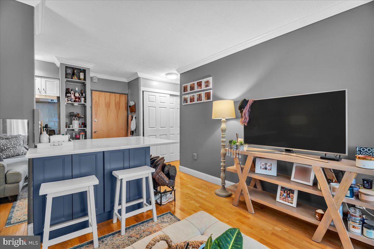 2101-17 Chestnut St #213 Property Photo 11