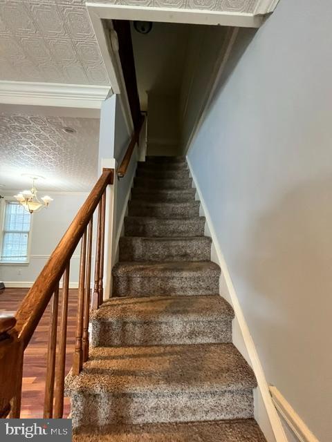 638 Roxborough Ave Property Photo 15