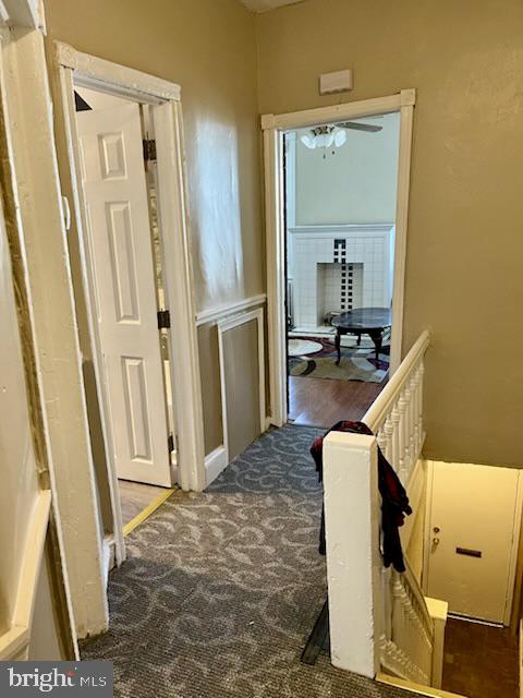 5426 Spruce St Property Photo 4