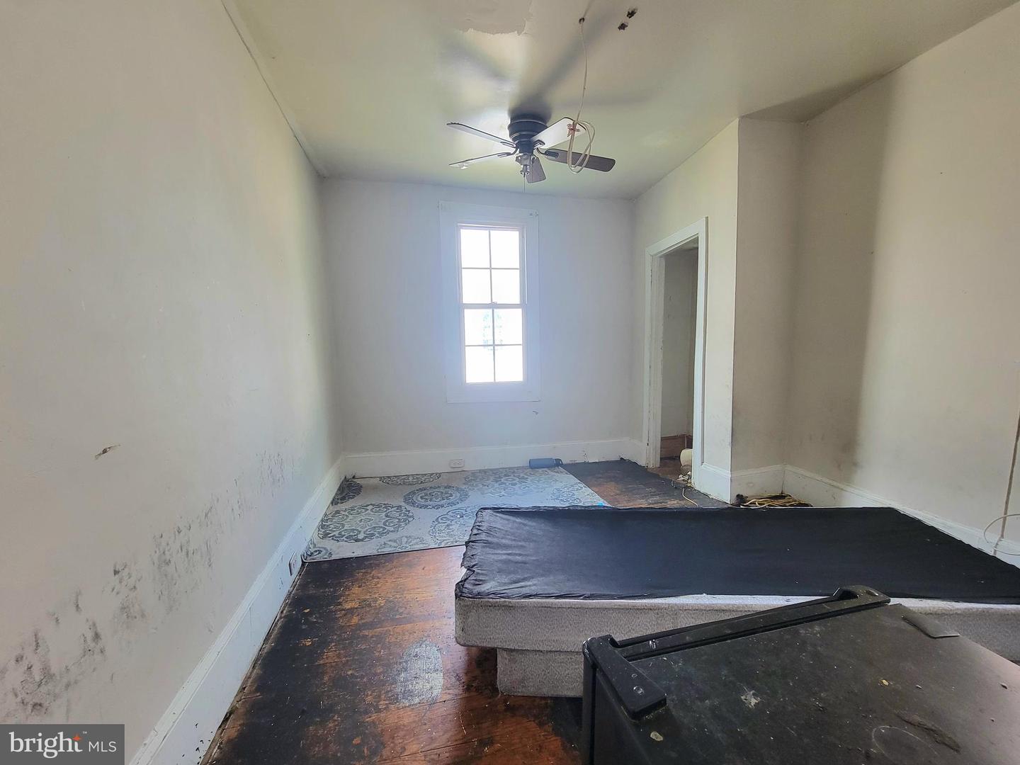 5543 Malcolm St Property Photo 19