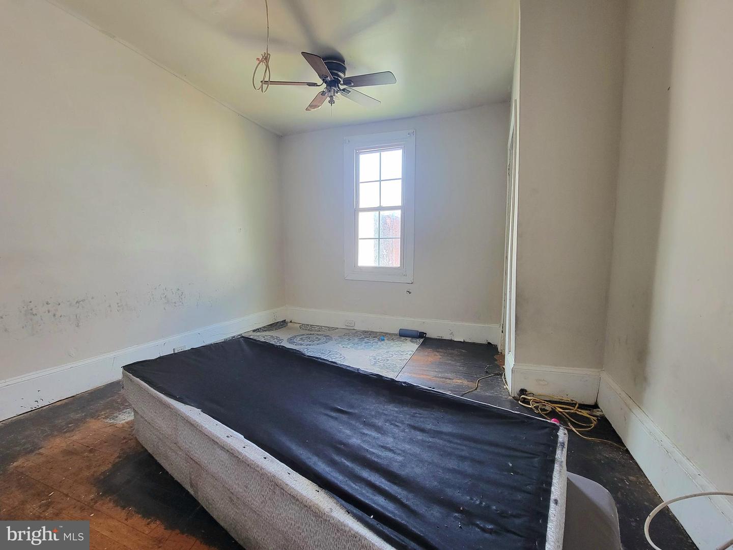5543 Malcolm St Property Photo 20