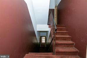 2047 Green St Property Photo 11