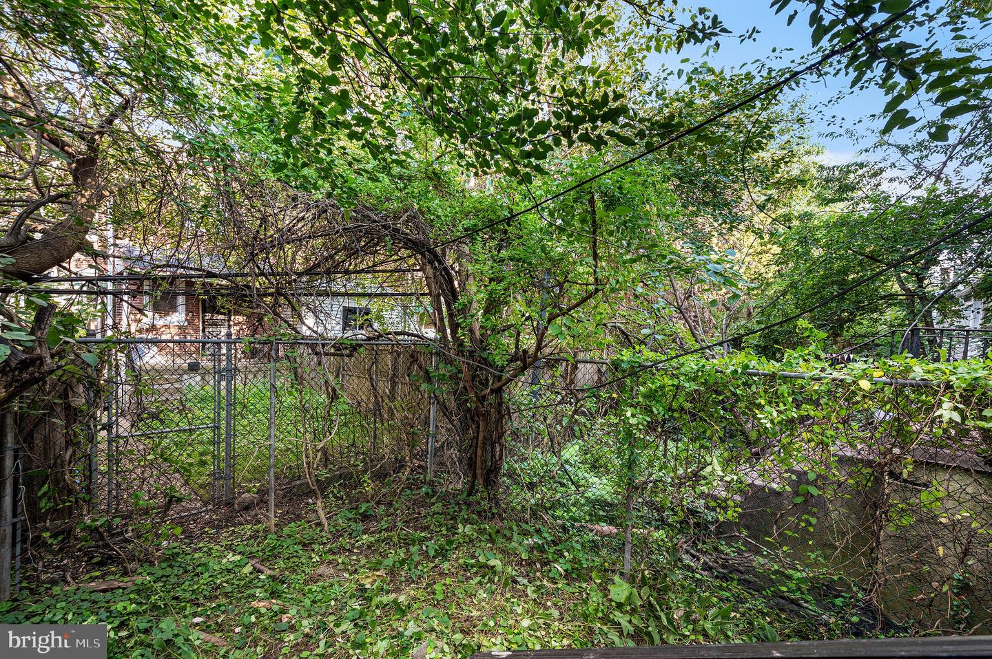 1535 N Frazier St Property Photo 24
