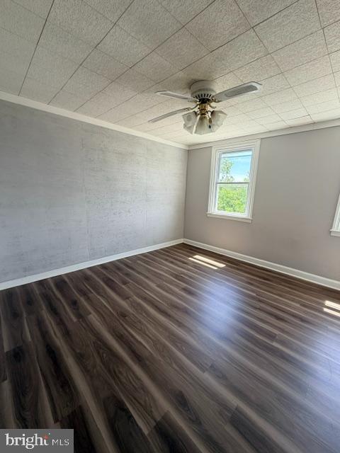 6616 Montague St Property Photo 5