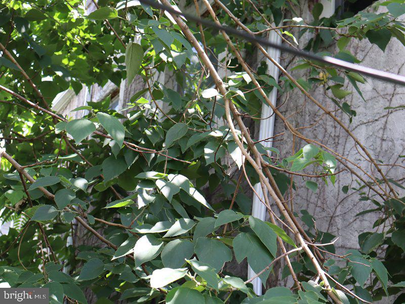 2819 Cantrell St Property Photo 4