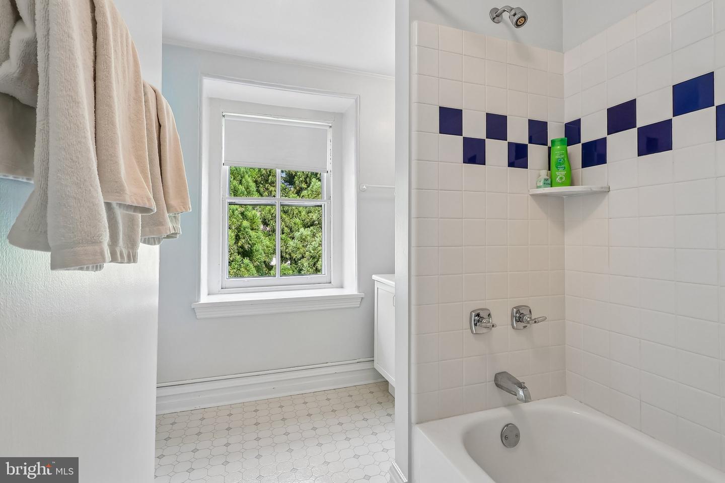 202 W Chestnut Hill Ave Property Photo 42