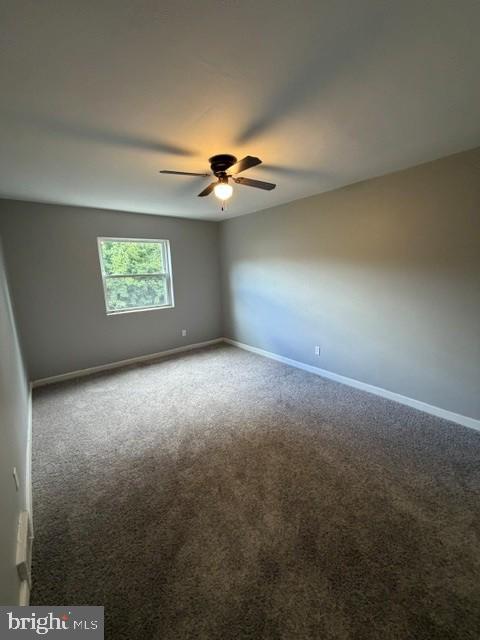 7311 Haverford Ave #2 Floor Property Photo 5