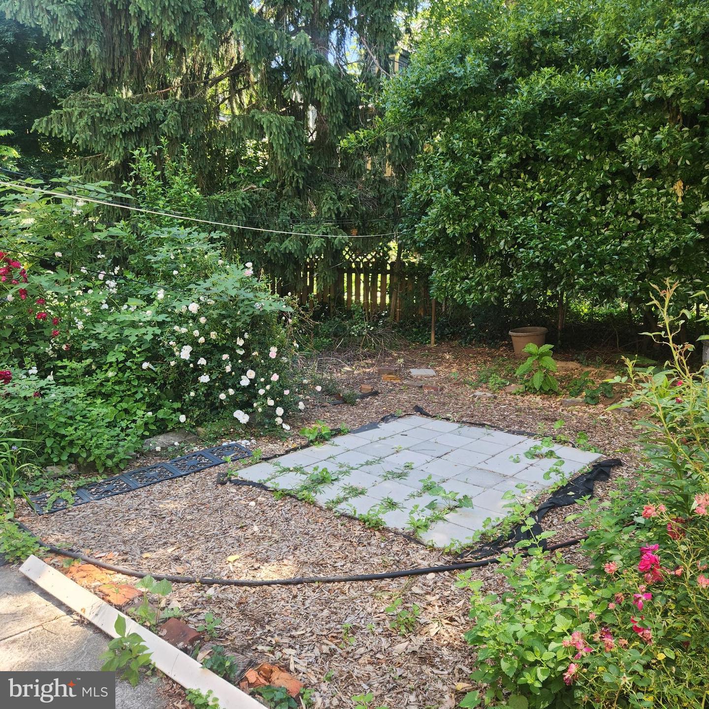 4812 Warrington Ave ##3 Property Photo 26