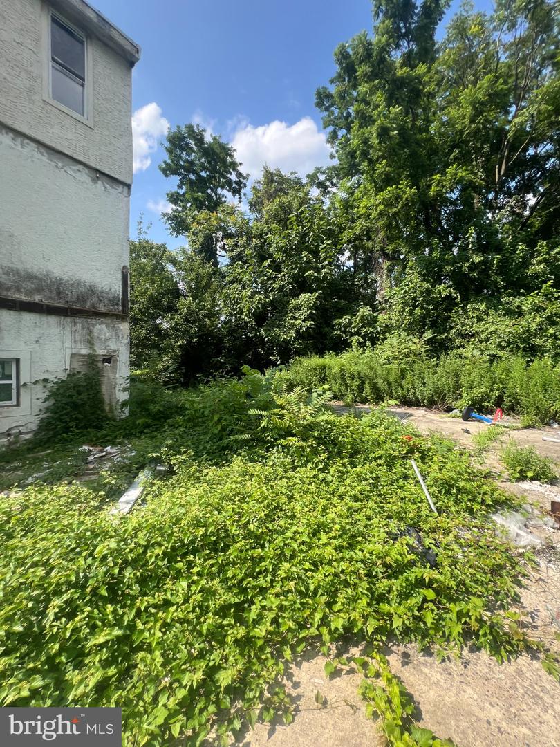 64-68 Wister St E Property Photo 2