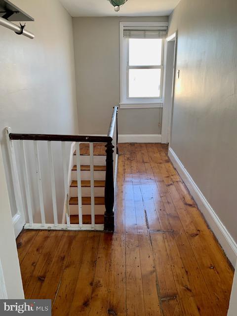 1107 E Palmer St Property Photo 20