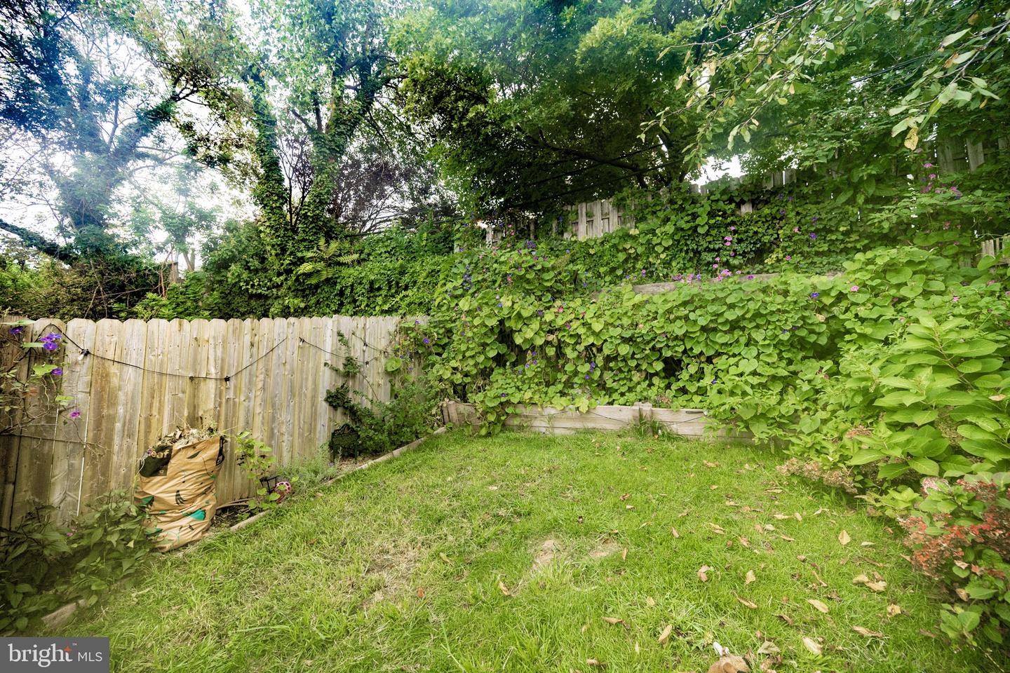 4033 Boone St Property Photo 26