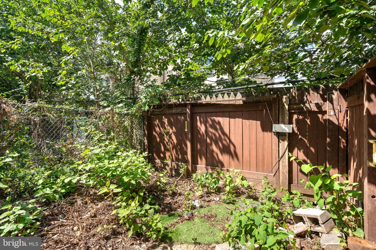 3845 Folsom St Property Photo 22
