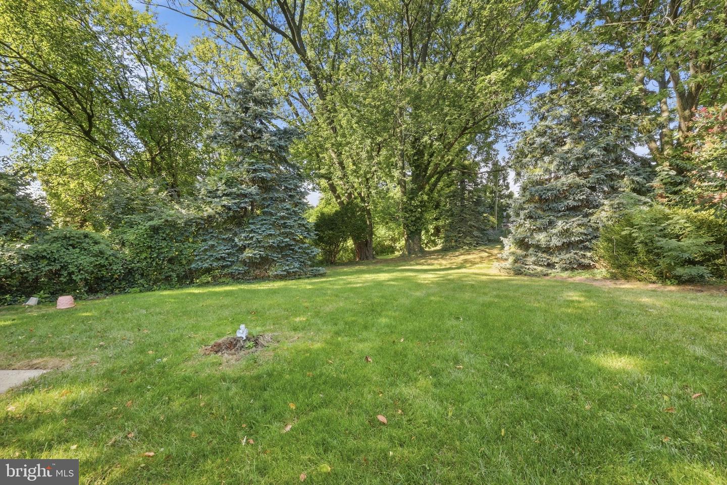 7835 Lawndale Ave Property Photo 29