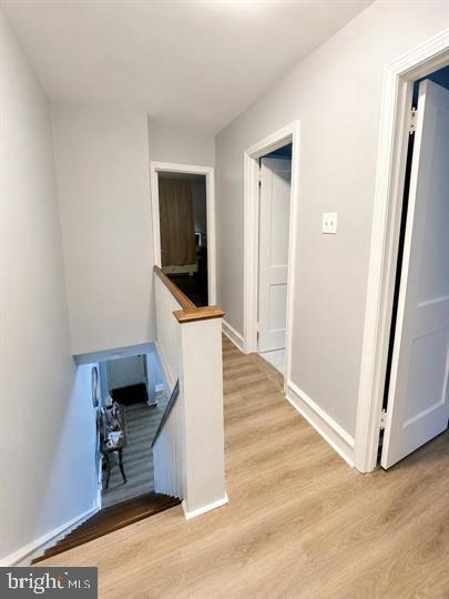 4109 Levick St Property Photo 8