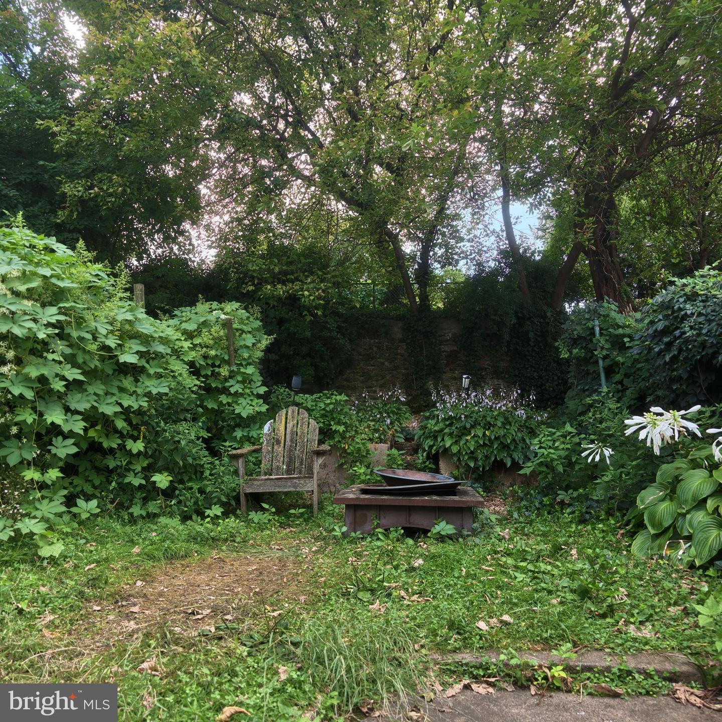 335 Carson St Property Photo 22