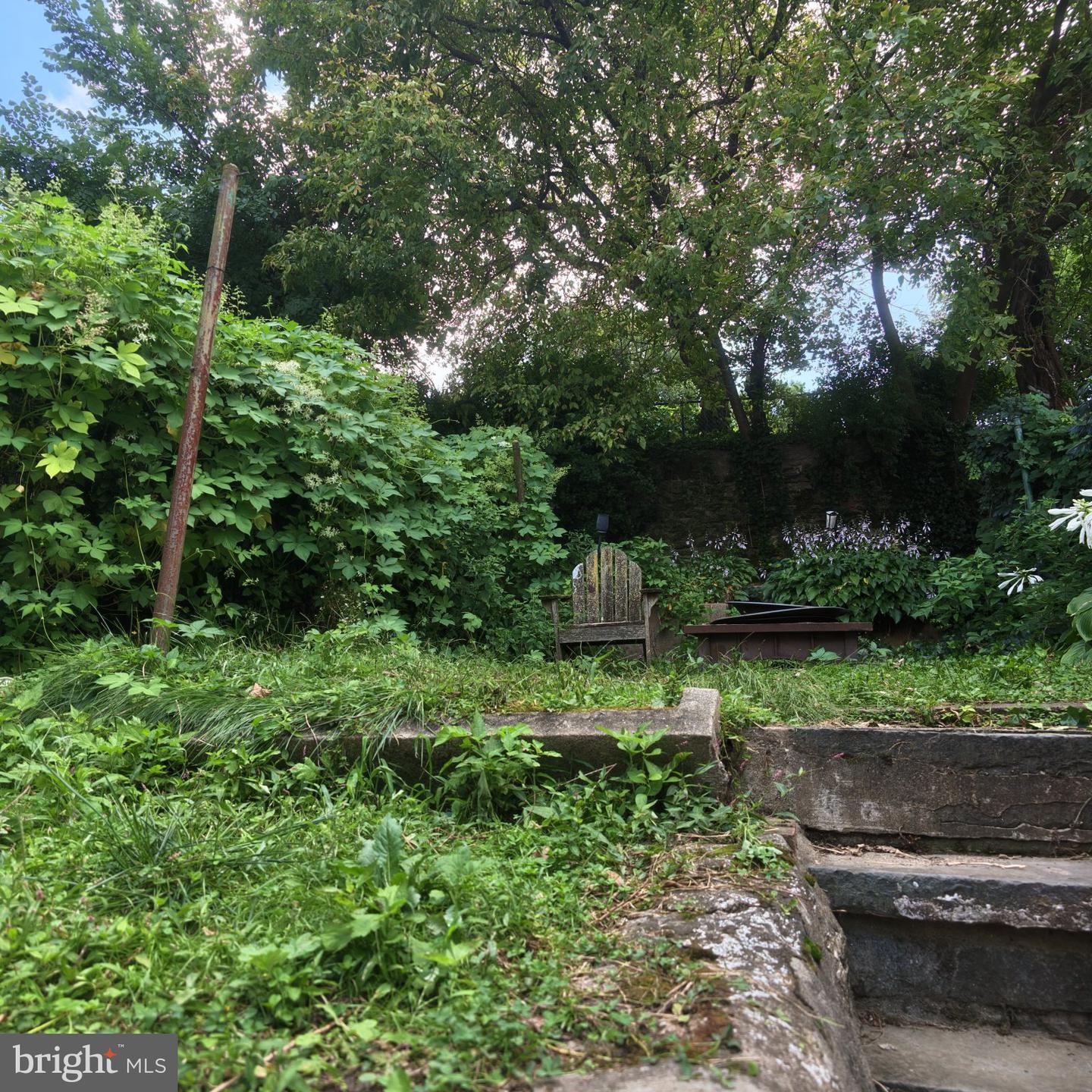 335 Carson St Property Photo 23