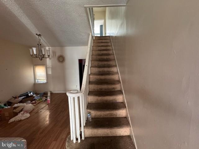 6408 Carlton St Property Photo 6