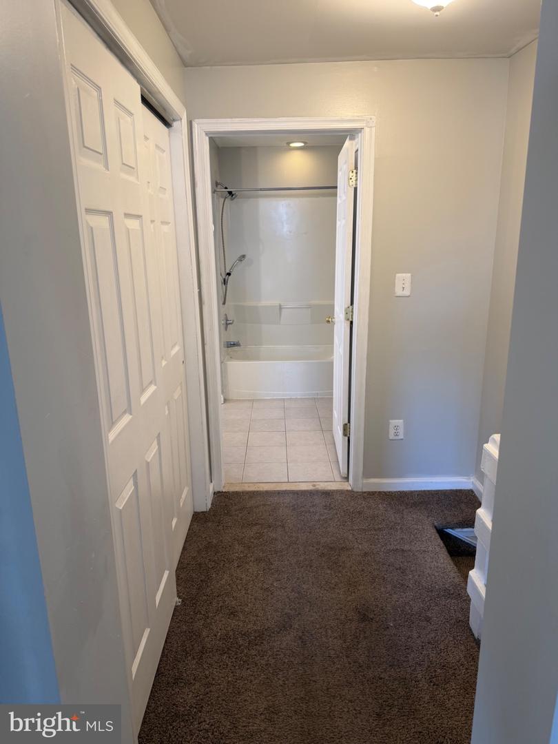1241 E Palmer St Property Photo 16