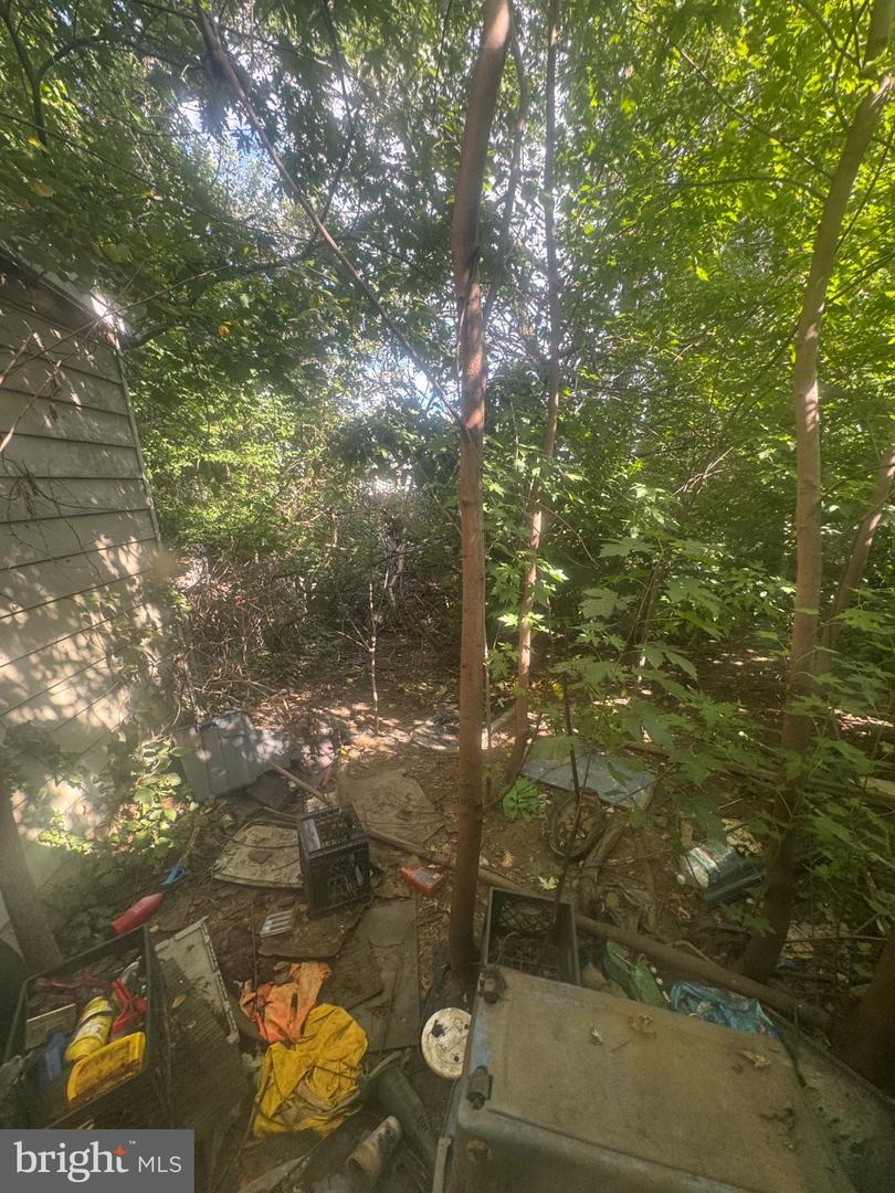 4271 Paul St Property Photo 17