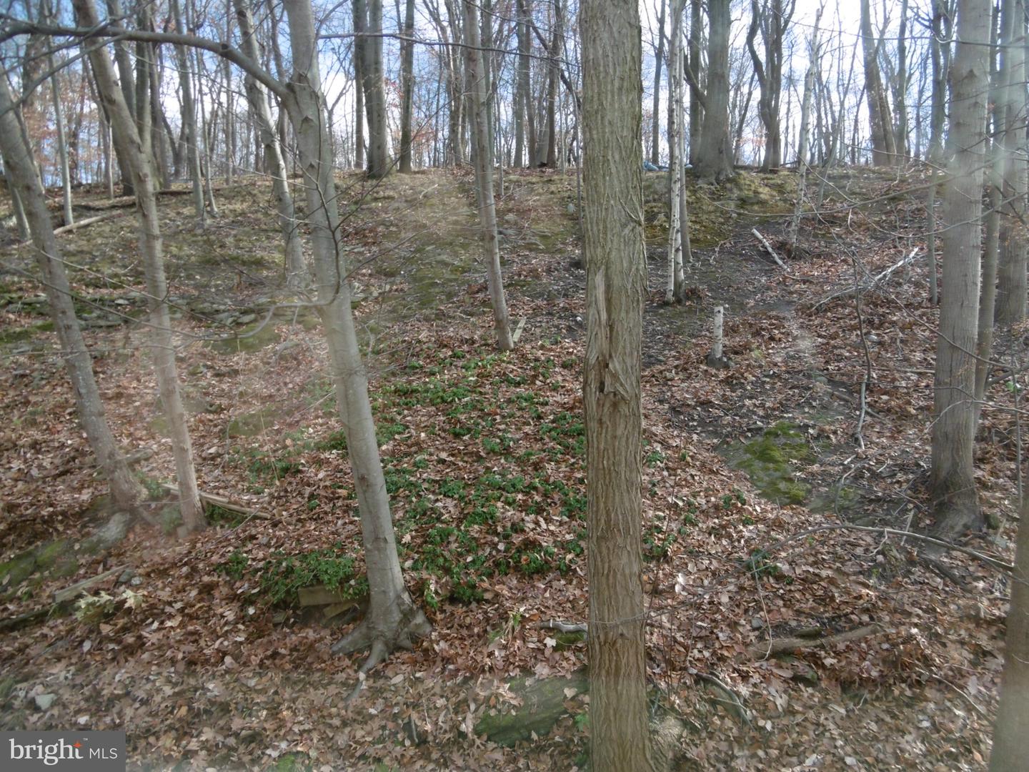 235 Parker Avenue Property Photo 14