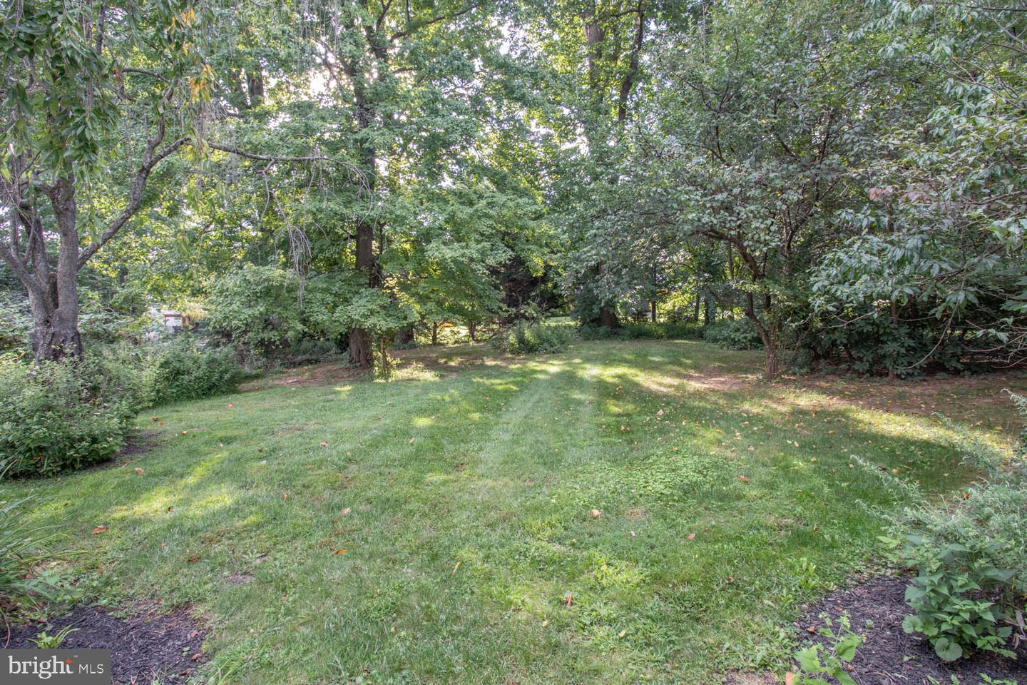 937 Caledonia St Property Photo 14