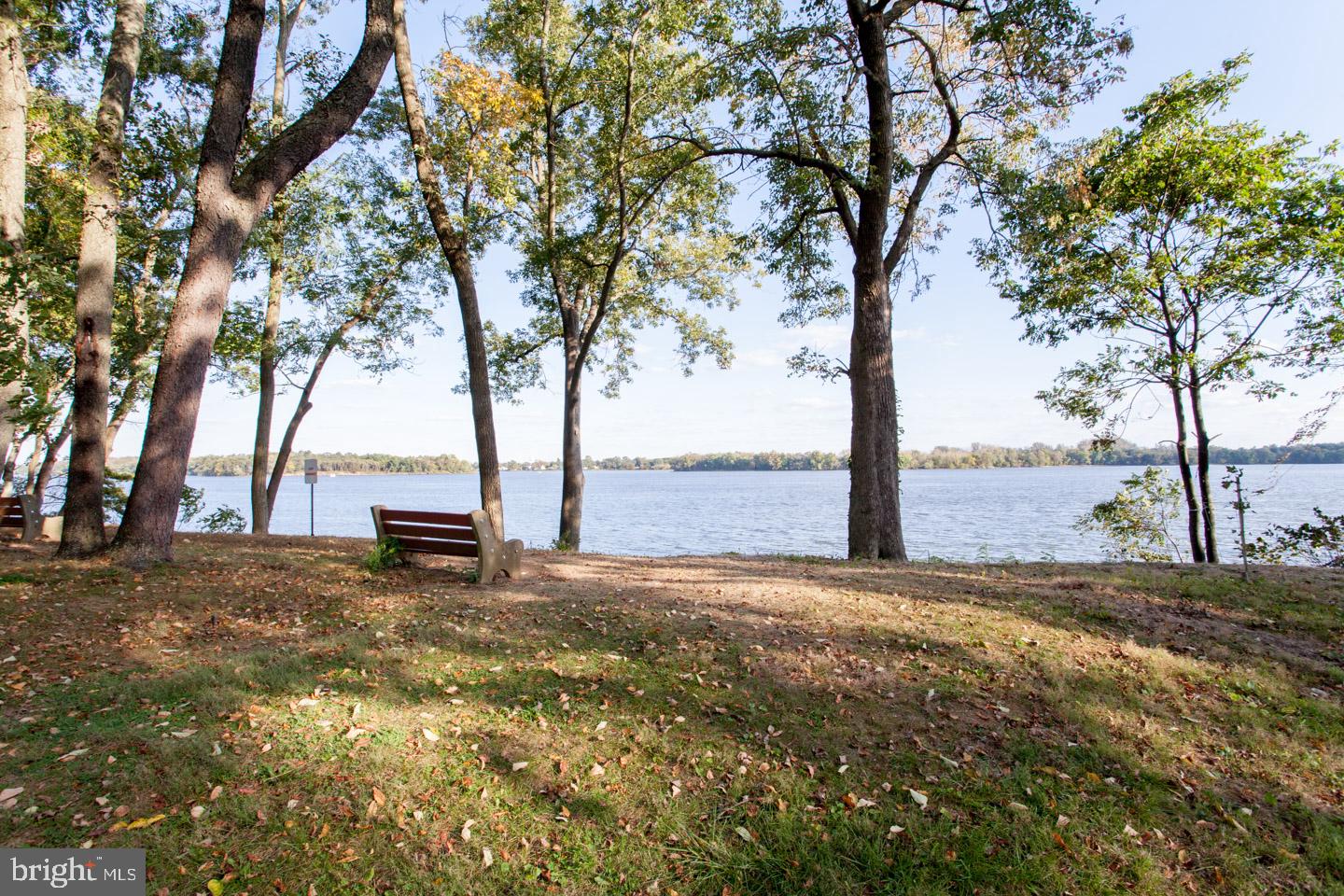 18106 Delaire Landing Rd #106 Property Photo 69