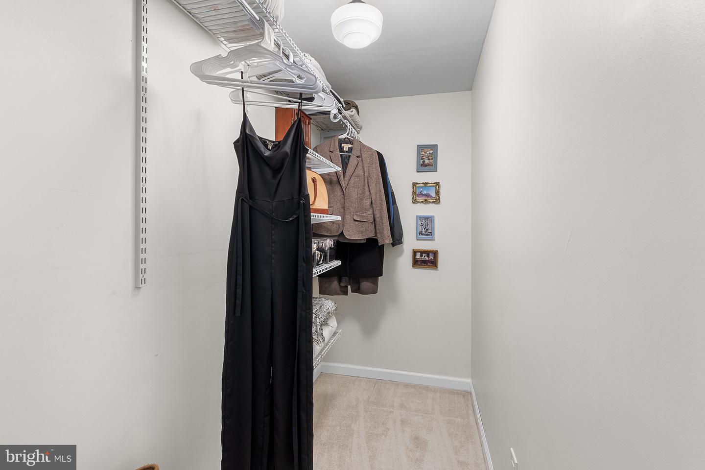 1104 Cantrell St Property Photo 18