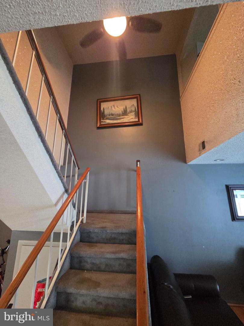 8406 Lyons Pl Property Photo 8