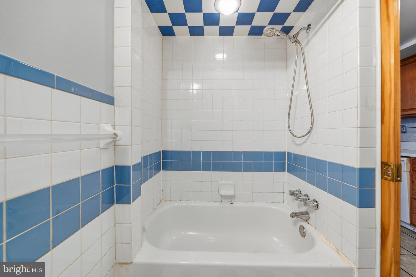 625 Catharine St #1 Rear Property Photo 8
