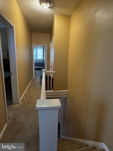 3244 Cedar St Property Photo 10