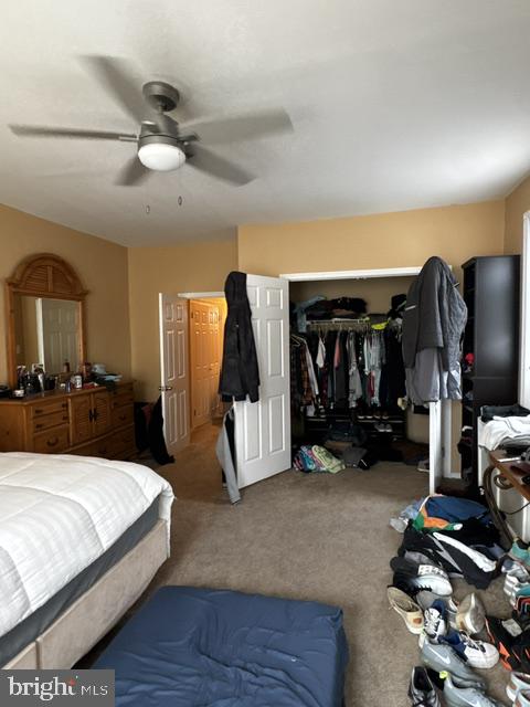 3244 Cedar St Property Photo 13