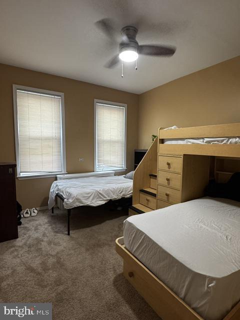 3244 Cedar St Property Photo 14