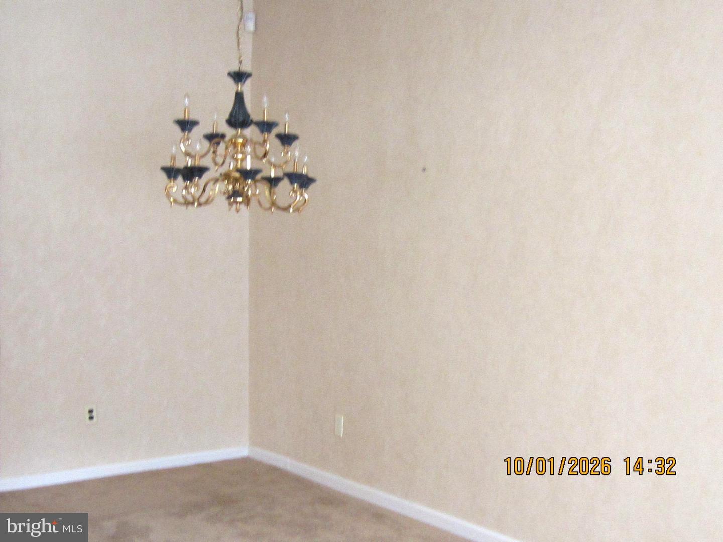 147 Dimarco Dr Property Photo 9