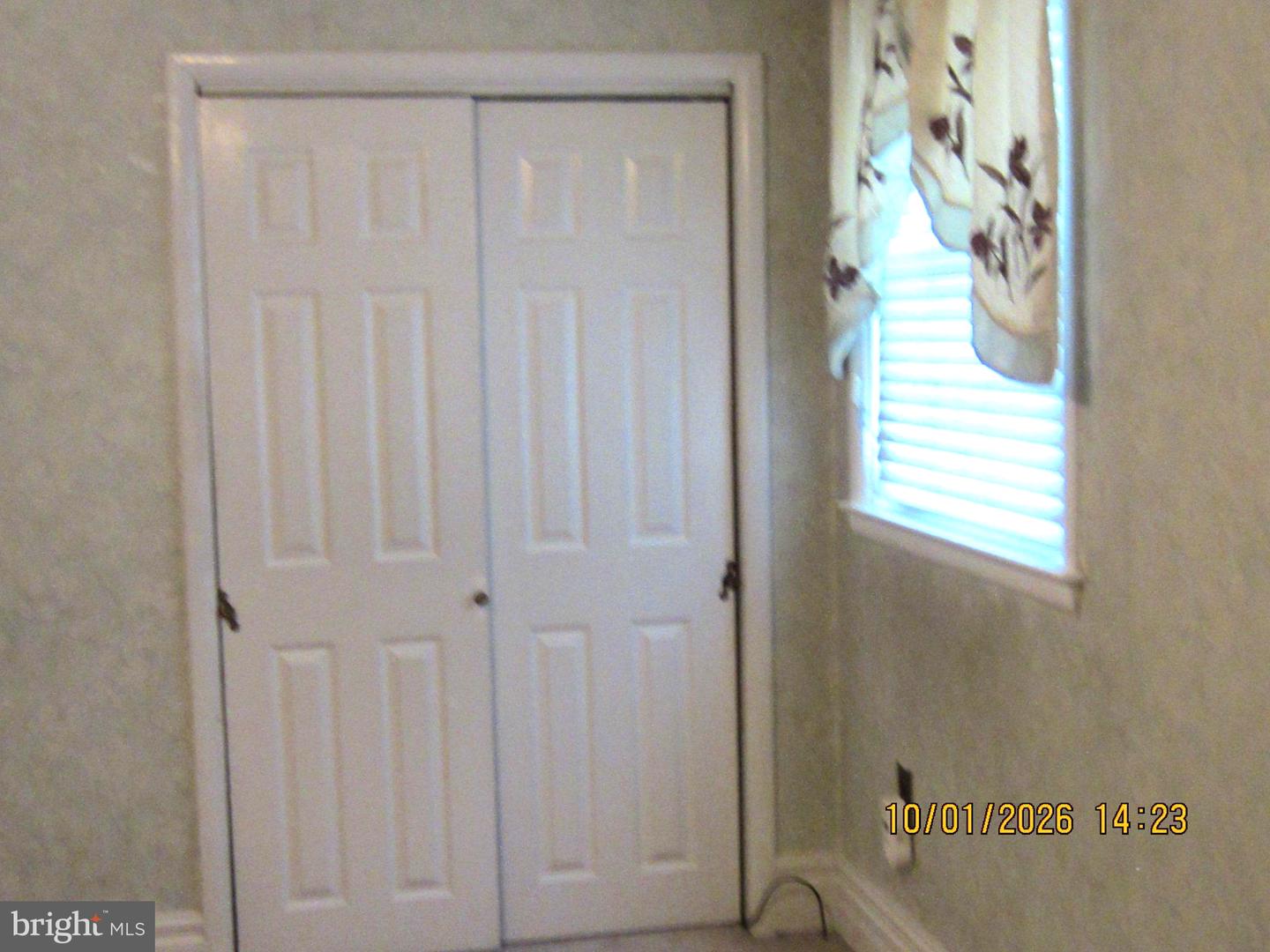 147 Dimarco Dr Property Photo 13