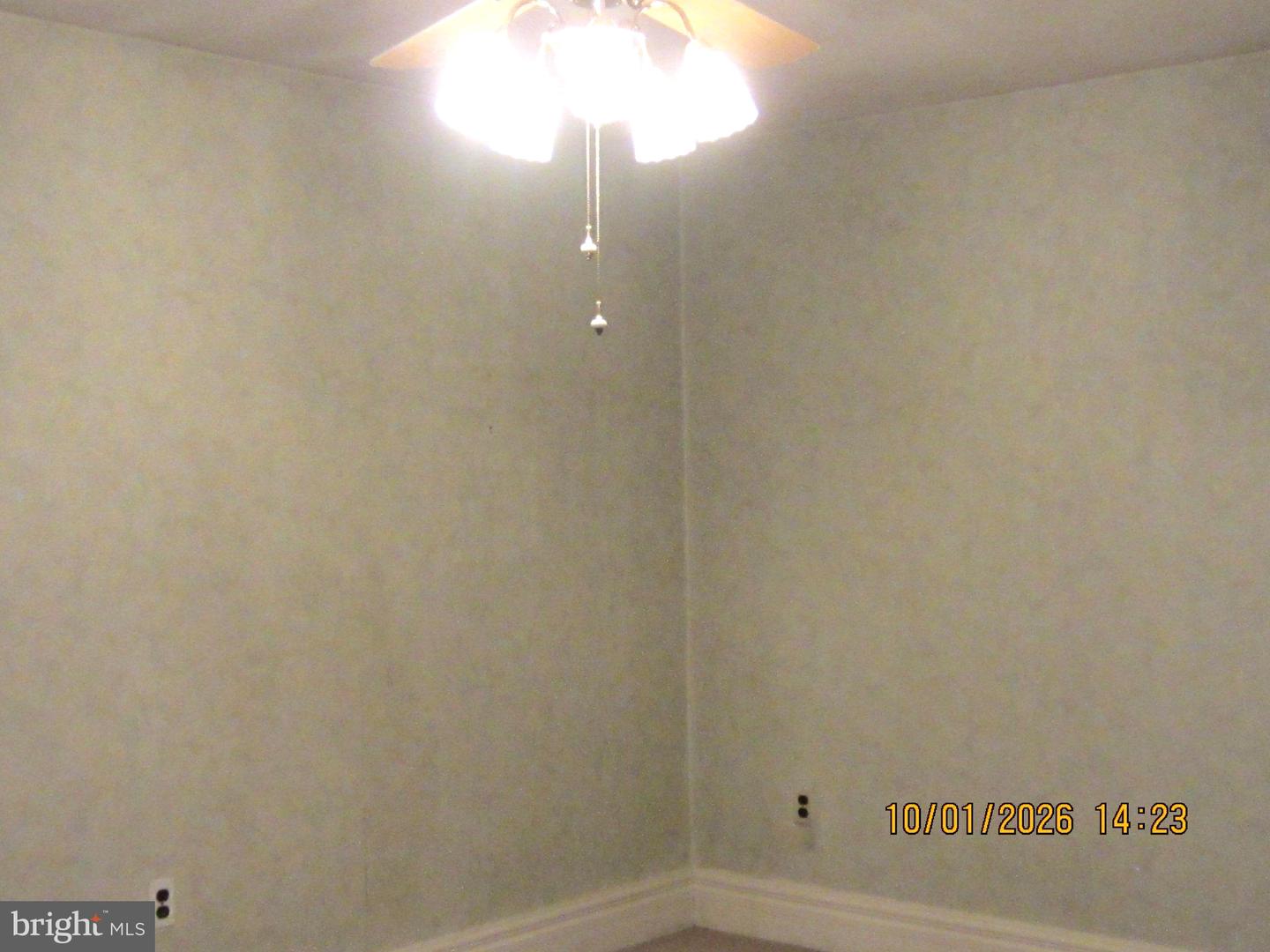 147 Dimarco Dr Property Photo 15