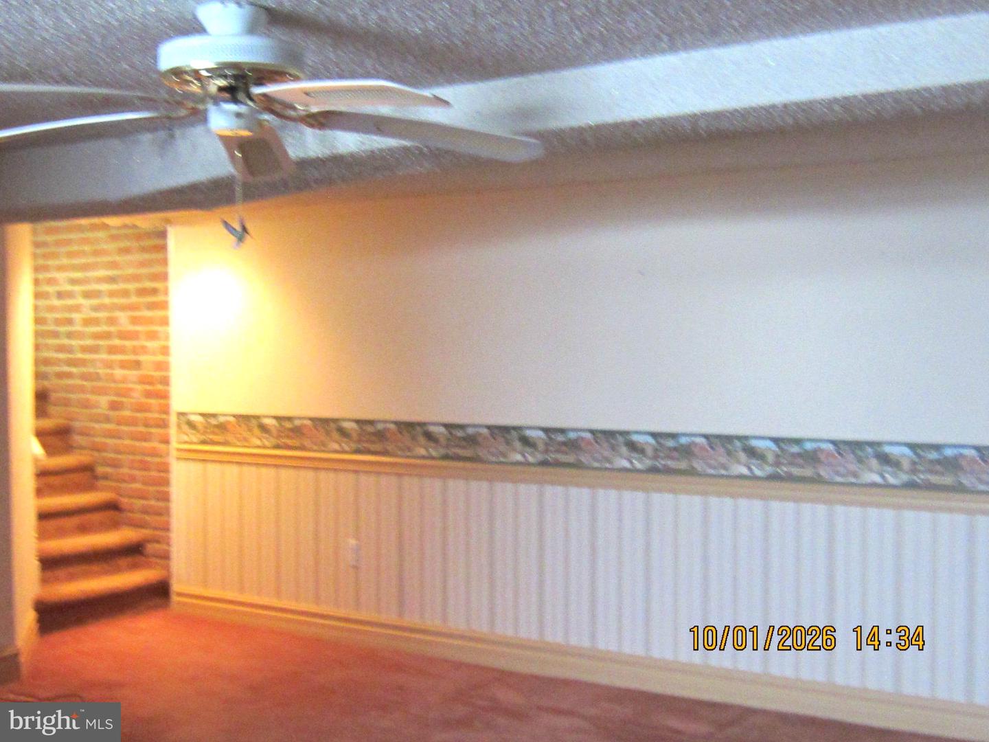 147 Dimarco Dr Property Photo 19