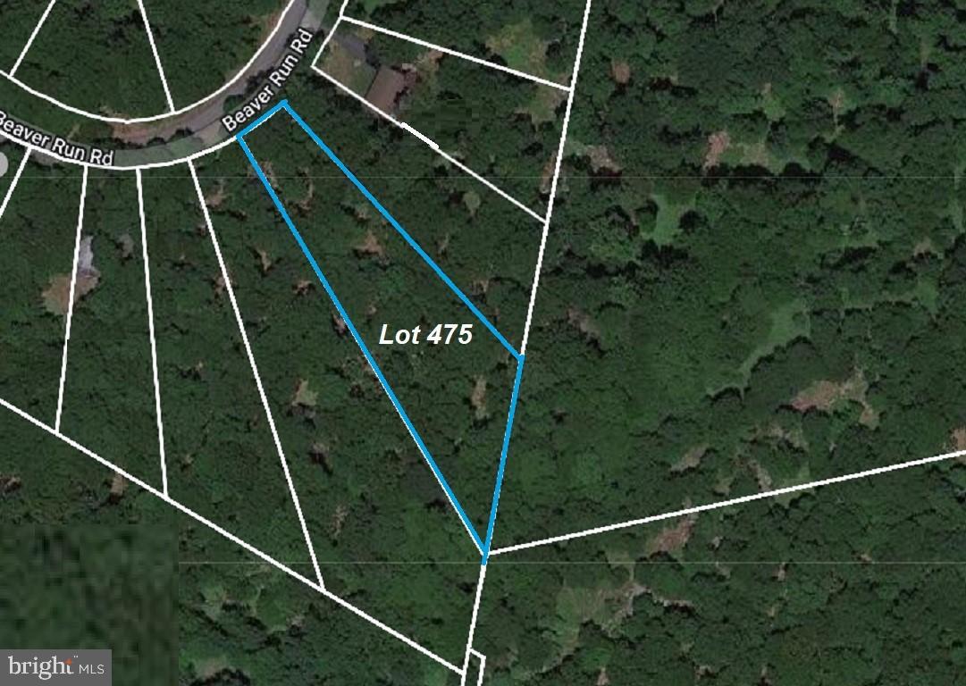 Lot 475 Beaver Run Rd Property Photo 1