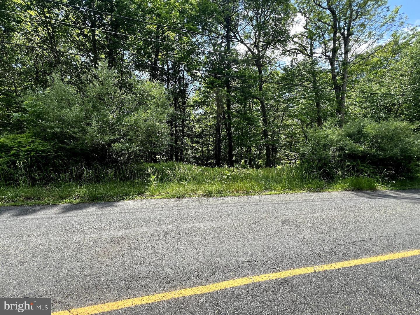 Lot 151 Pocono Mountain Lake Dr Property Photo