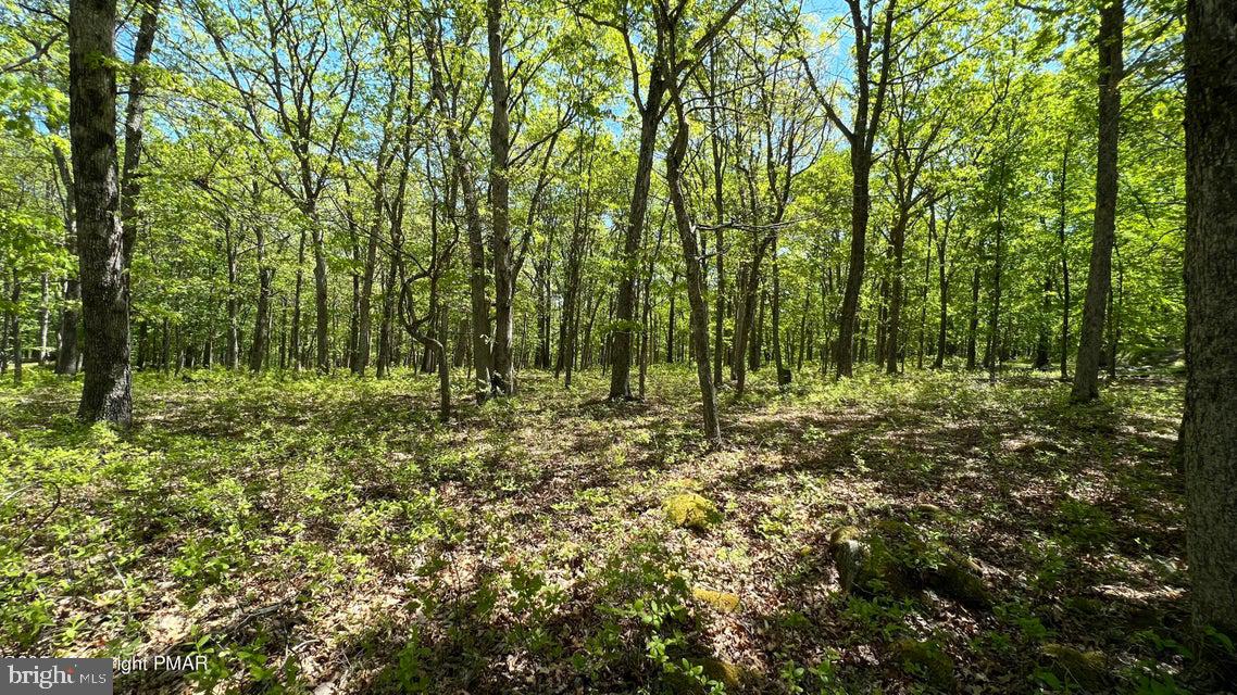 Lot 151 Bear Dr Property Photo