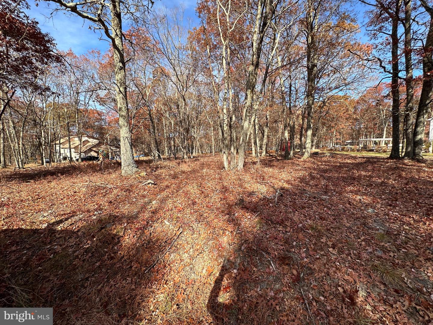 123 Bear Property Photo