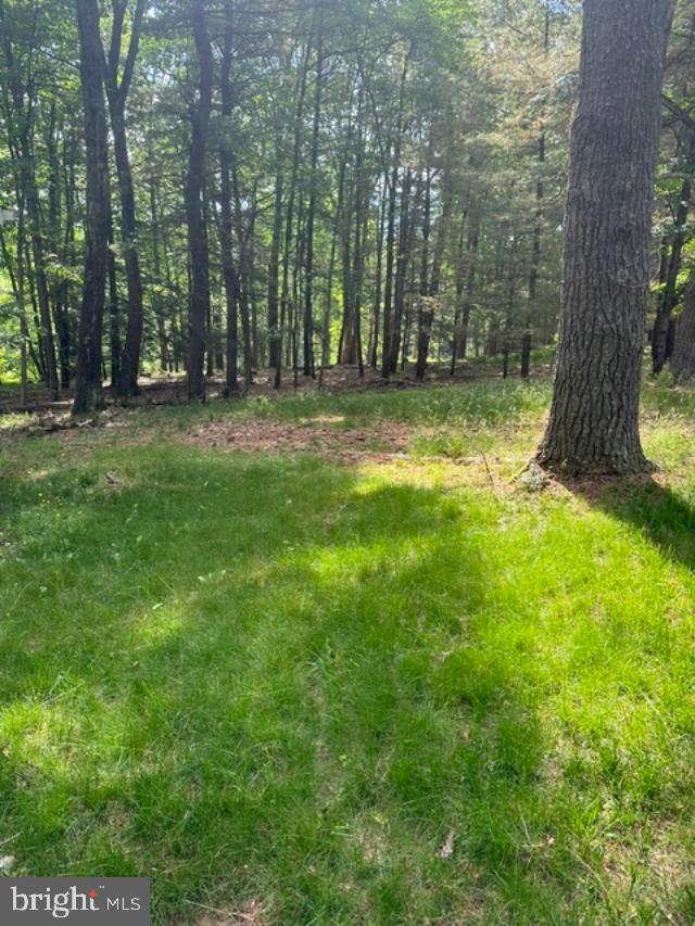 204 Shiny Mountain Road Property Photo 13