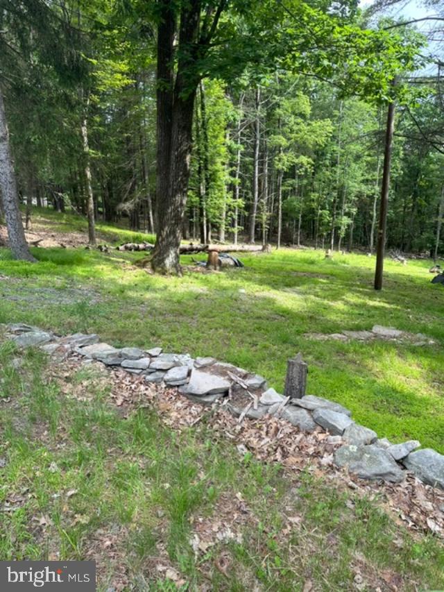 204 Shiny Mountain Road Property Photo 14