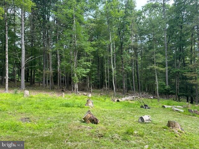 204 Shiny Mountain Road Property Photo 15