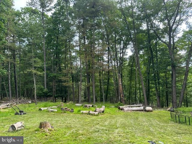 204 Shiny Mountain Road Property Photo 16
